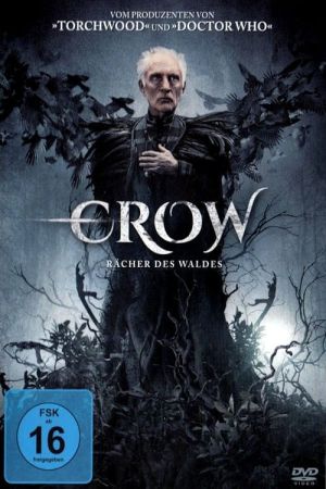 Crow - Rächer des Waldes poster