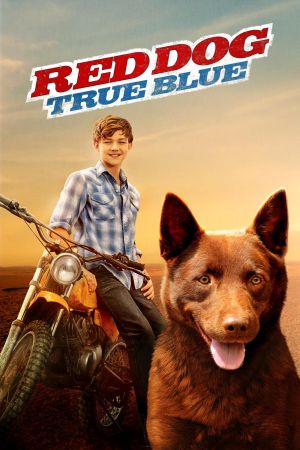 Red Dog – Mein treuer Freund poster