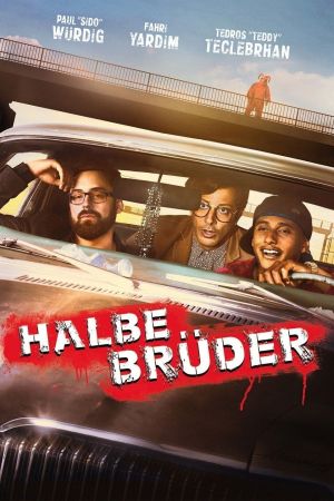 Halbe Brüder poster