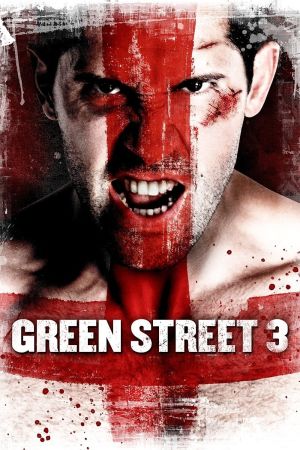 Hooligans 3 - Never Back Down poster
