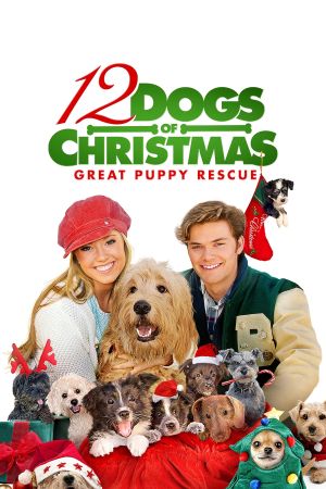 Einsatz auf vier Pfoten 2 - Das Weihnachtsmärchen geht weiter poster