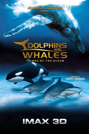 IMAX: Delfine und Wale poster