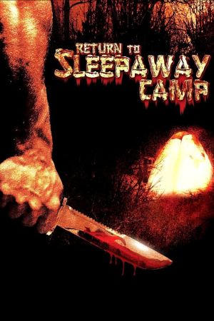 Return to Sleepaway Camp poster