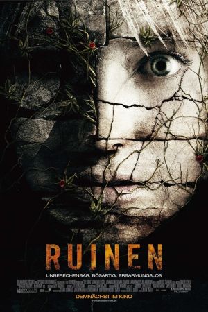 Ruinen poster