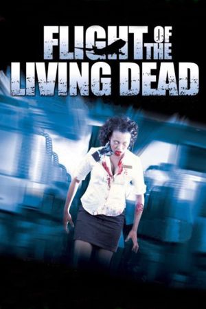 Plane Dead: Der Flug in den Tod poster