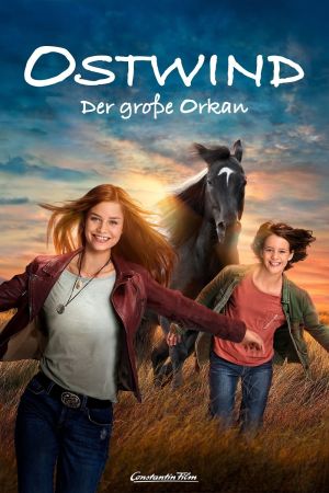Ostwind  - Der große Orkan poster