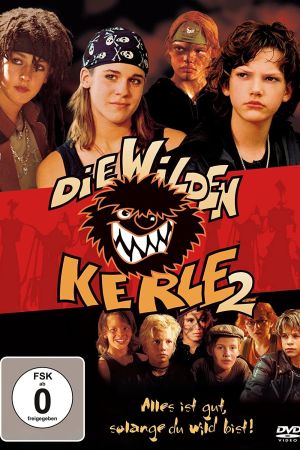 Die Wilden Kerle 2 hdfilme stream online