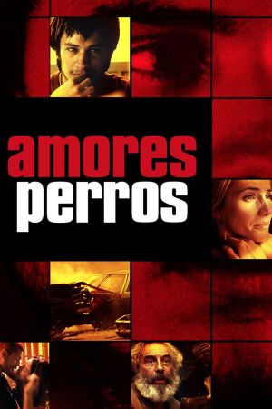 Amores perros hdfilme stream online