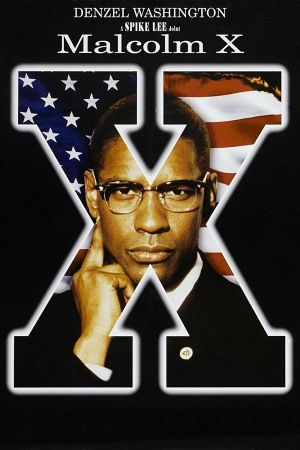 Malcolm X poster
