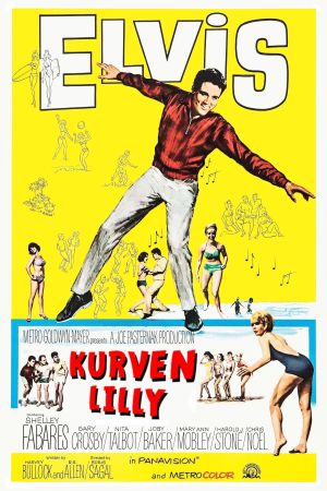 Kurven-Lilly poster