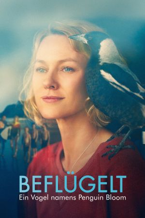 Beflügelt poster