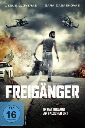 Freigänger poster