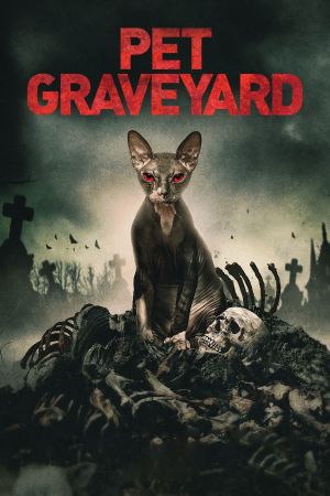 Friedhof am Ende der Welt poster