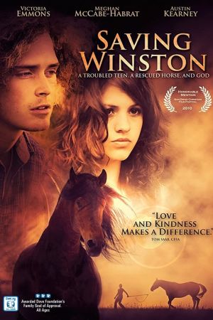 Das vergessene Pferd hdfilme stream online