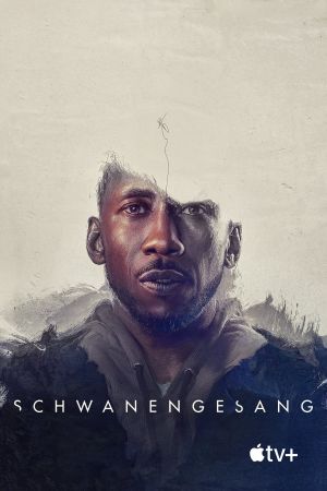 Schwanengesang poster