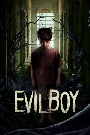 Evil Boy poster