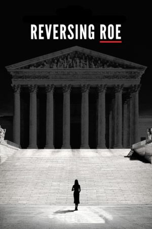 Selbstbestimmung, Politik – Abtreibung in den USA poster