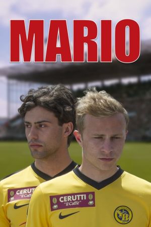Mario poster