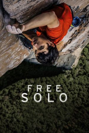 Free Solo poster