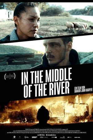 In der Mitte des Flusses poster