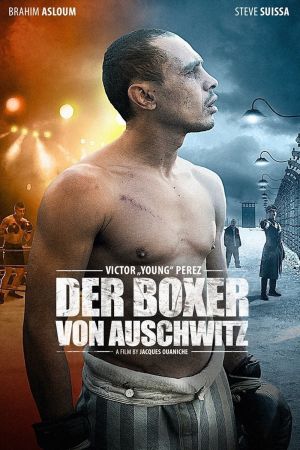 Der Boxer von Auschwitz poster