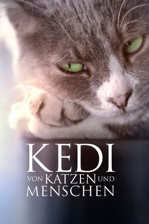 Kedi: Von Katzen und Menschen poster