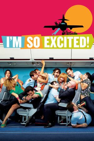 Fliegende Liebende poster