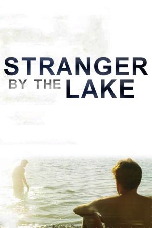Der Fremde am See poster