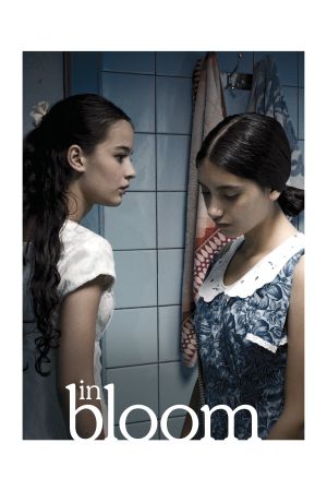 Die langen hellen Tage poster