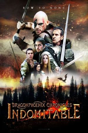 The Dragonphoenix Chronicles poster