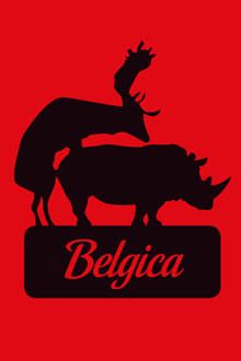 Café Belgica poster