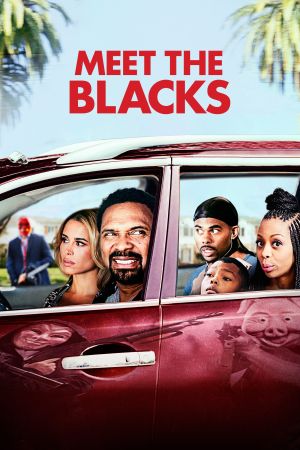 Meet the Blacks poster