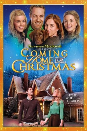 Coming Home for Christmas - Eine Familie zur Bescherung poster