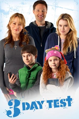 Weihnachten allein zu Haus poster