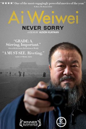 Ai Weiwei: Never Sorry poster
