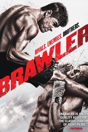 Brawler hdfilme stream online