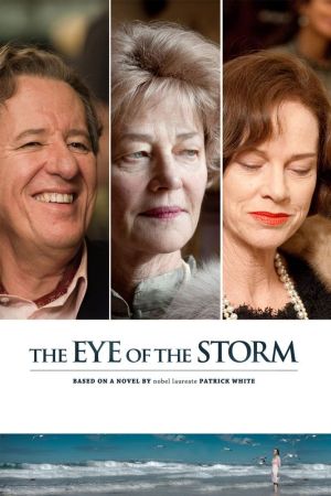 Im Auge des Sturms poster