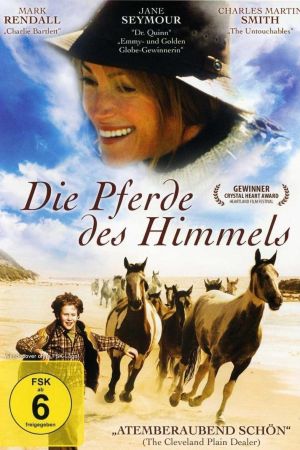 Die Pferde des Himmels poster