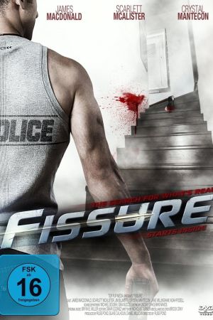 Fissure poster