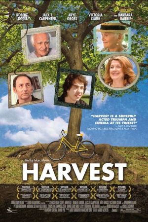Ein letzter Sommer hdfilme stream online