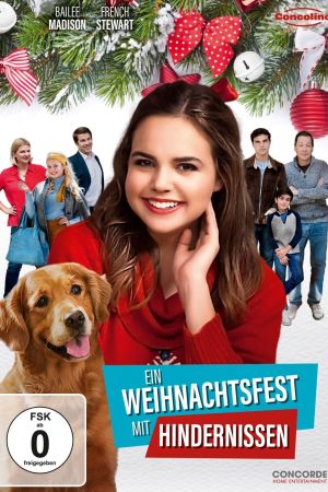 Ein Weihnachtsfest mit Hindernissen poster