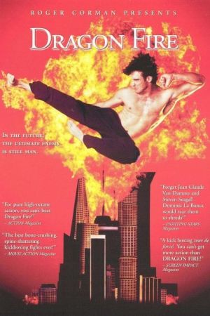 Im Feuer des Drachen poster
