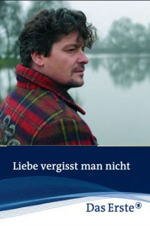 Liebe vergisst man nicht poster