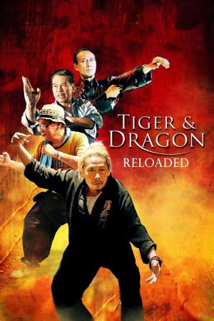 Tiger & Dragon Reloaded poster