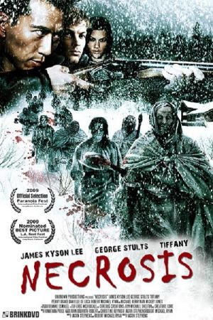 Blood Snow poster