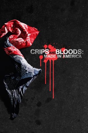 Crips and Bloods poster