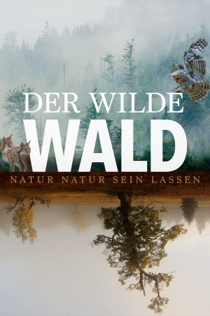 Der wilde Wald poster