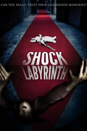 Schock Labyrinth 3D poster