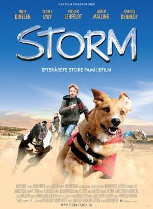 Storm - Sieger auf vier Pfoten poster