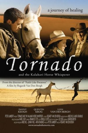 Tornado und der Pferdeflüsterer poster